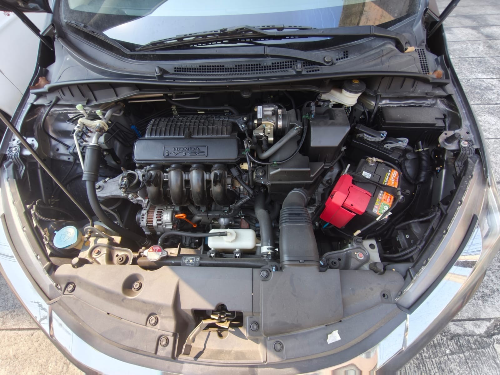 Used 1
                    HONDA
                     for Sale Image