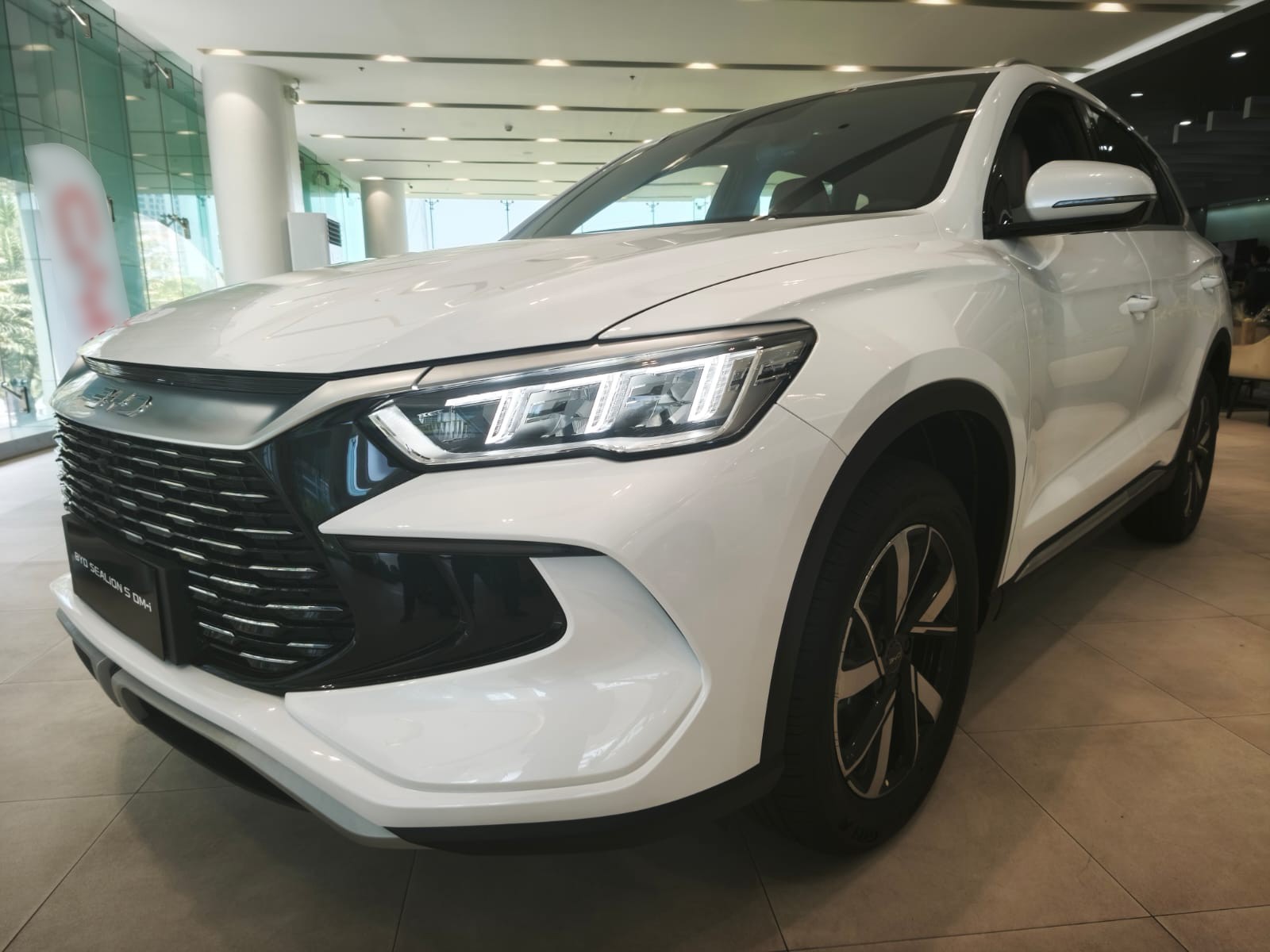 BYD
             
                 for Sale for Sale