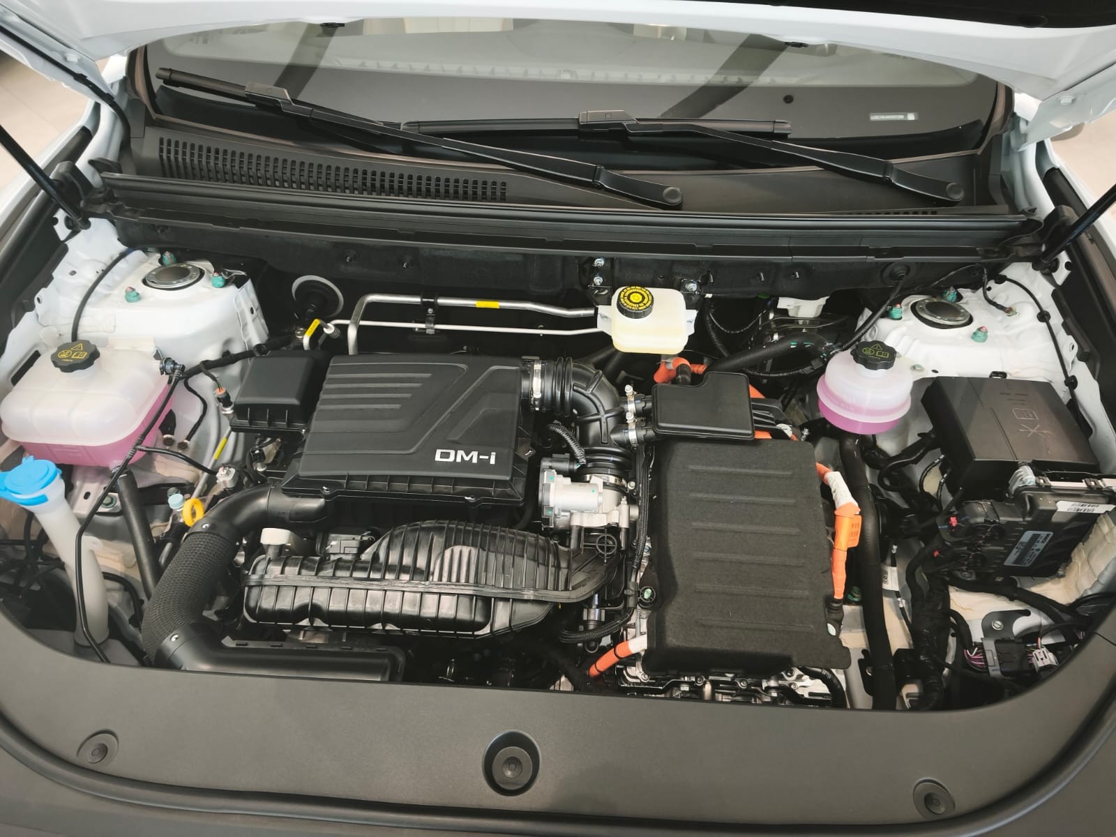 Used 1
                    BYD
                     for Sale Image