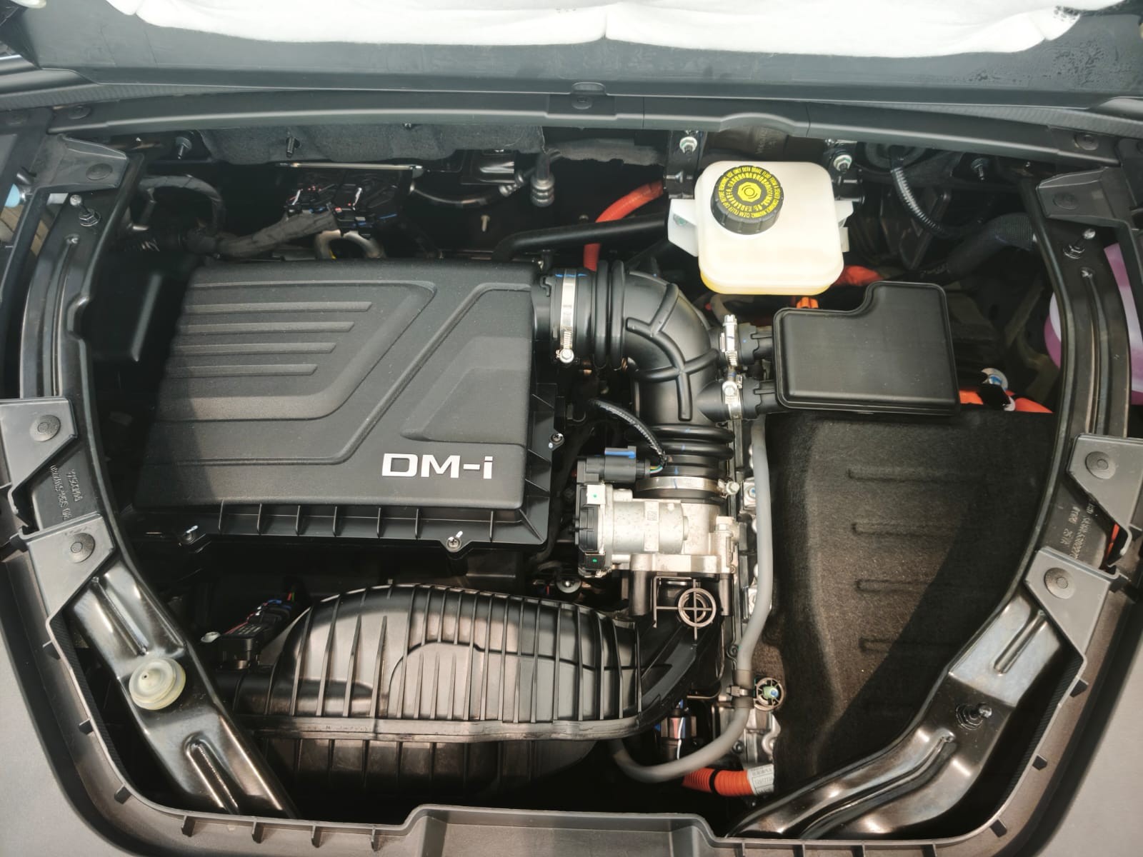 Used 1
                    BYD
                     for Sale Image