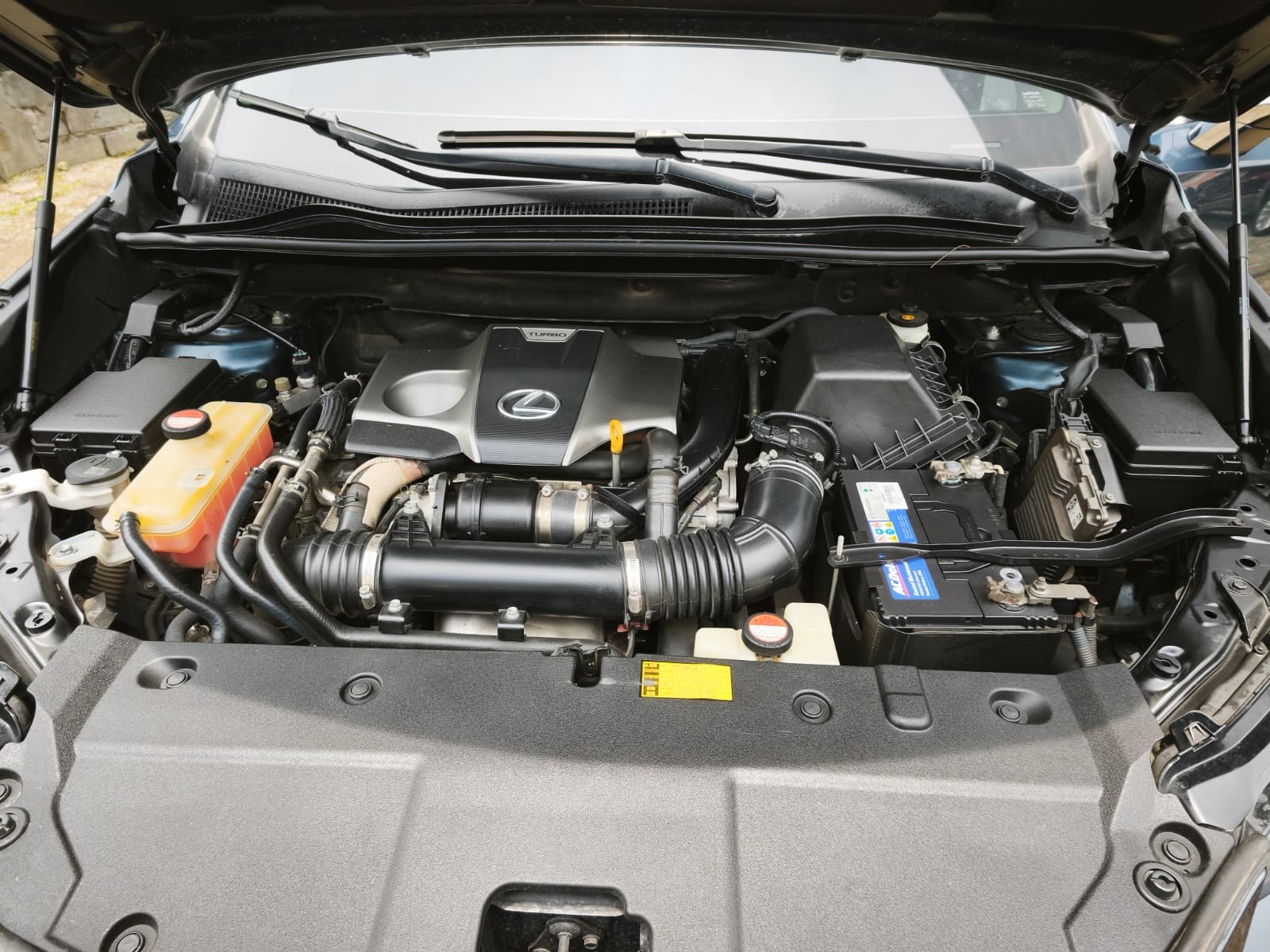 Used 1
                    LEXUS
                     for Sale Image