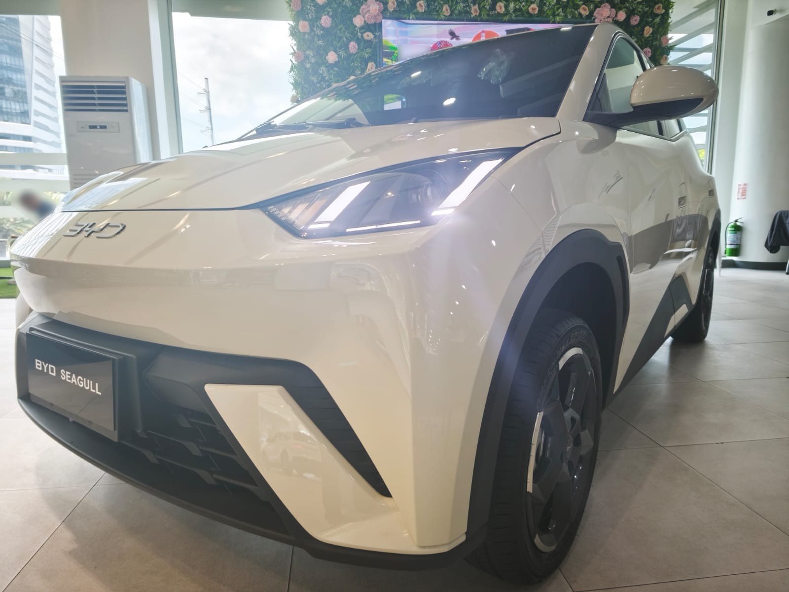 BYD
             
                 for Sale for Sale