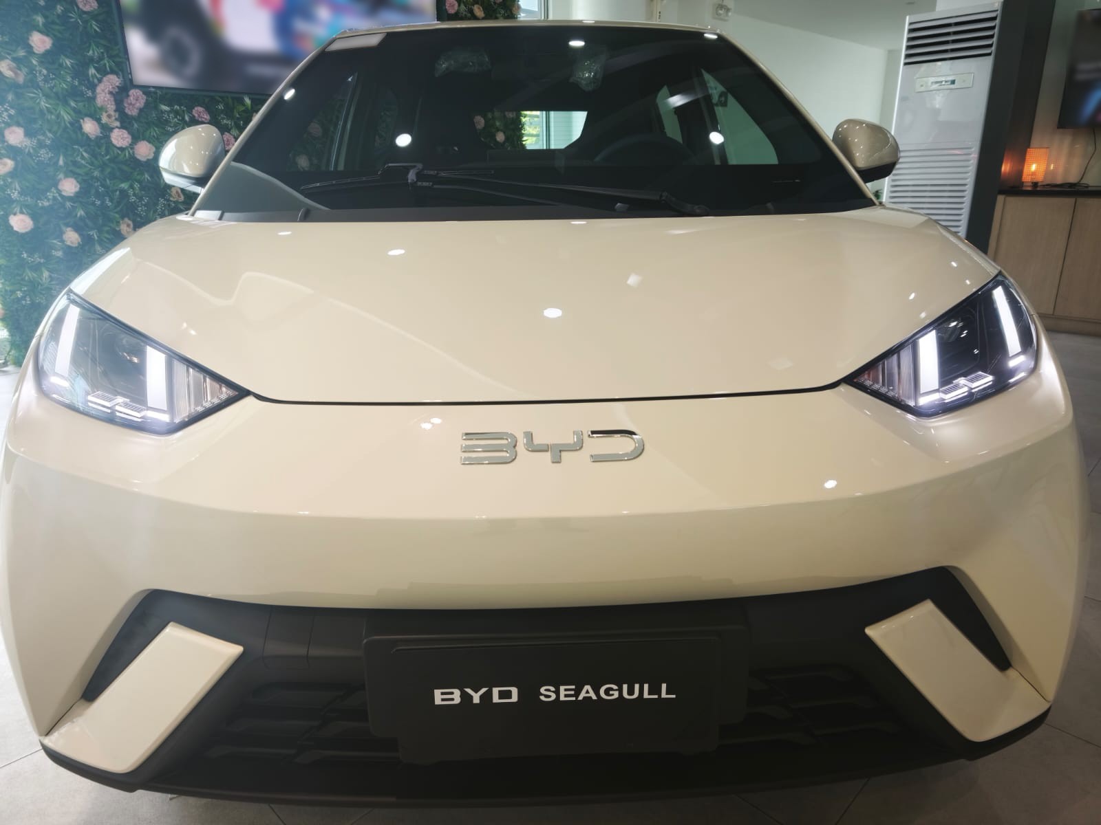 Used 1
                    BYD
                     for Sale Image