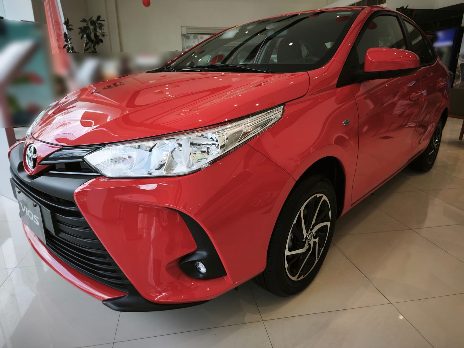 TOYOTA
             
                 for Sale for Sale