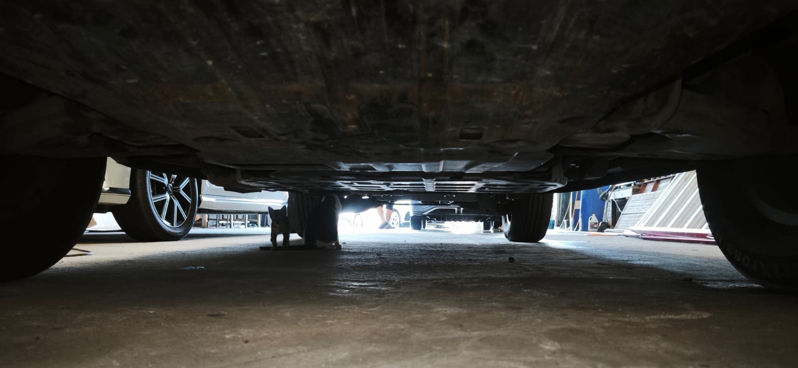 Used 1
                    BYD
                     for Sale Image