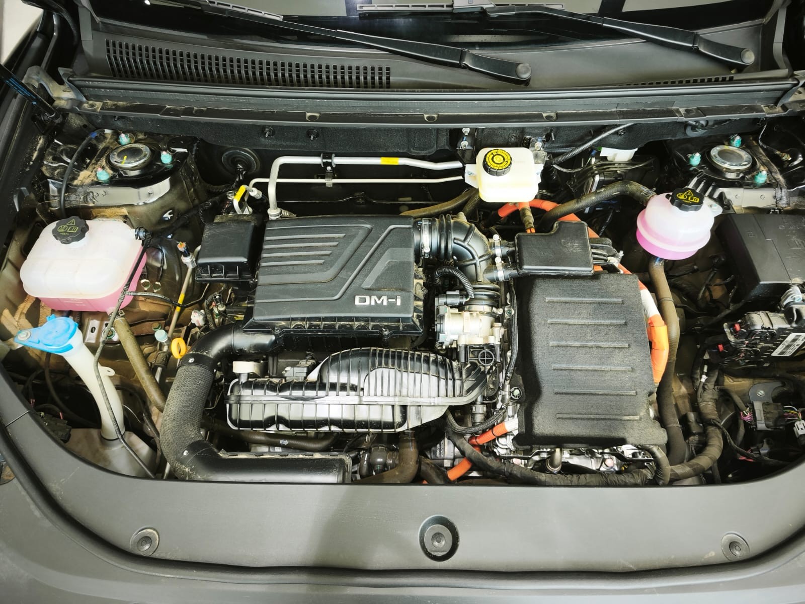 Used 1
                    BYD
                     for Sale Image