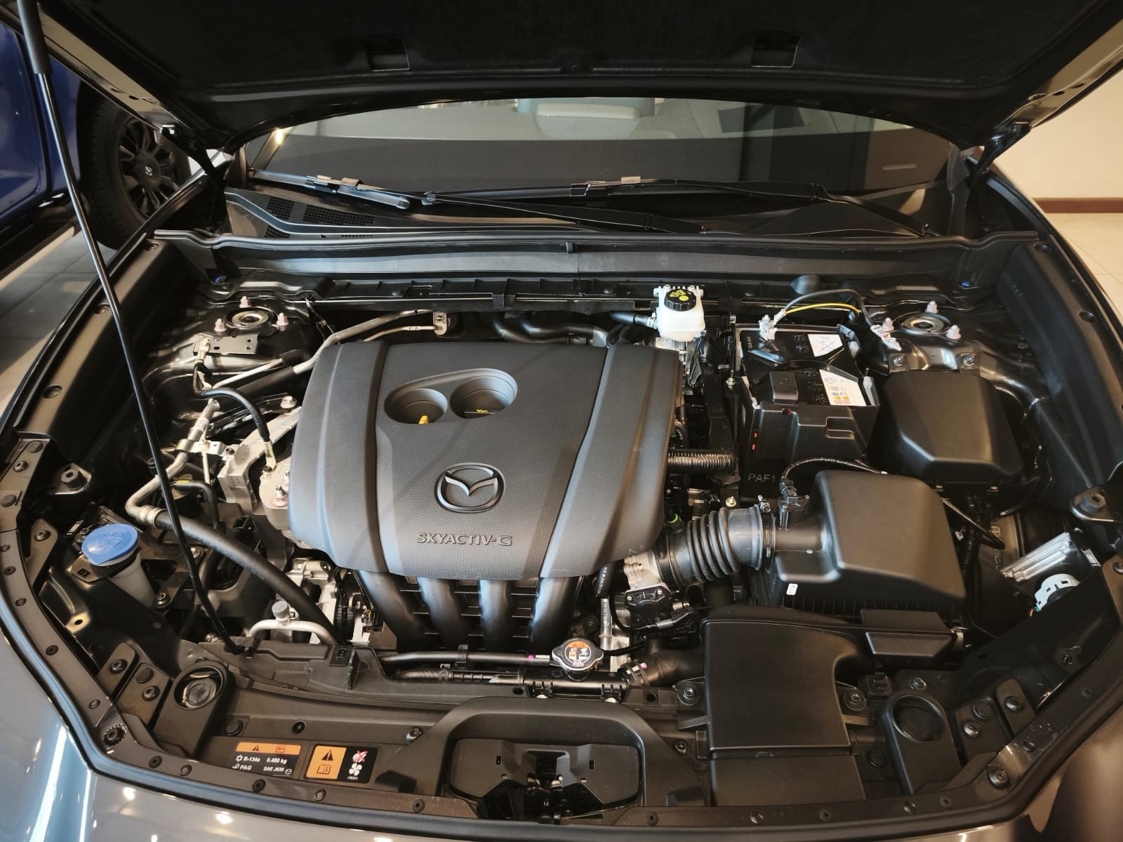 Used 1
                    MAZDA
                     for Sale Image