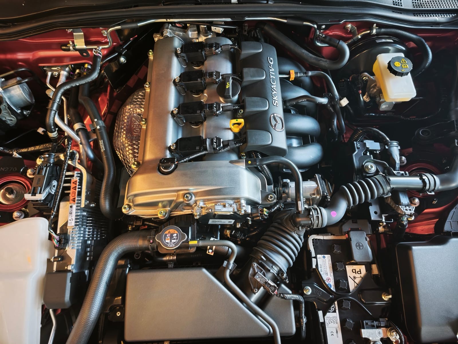 Used 1
                    MAZDA
                     for Sale Image