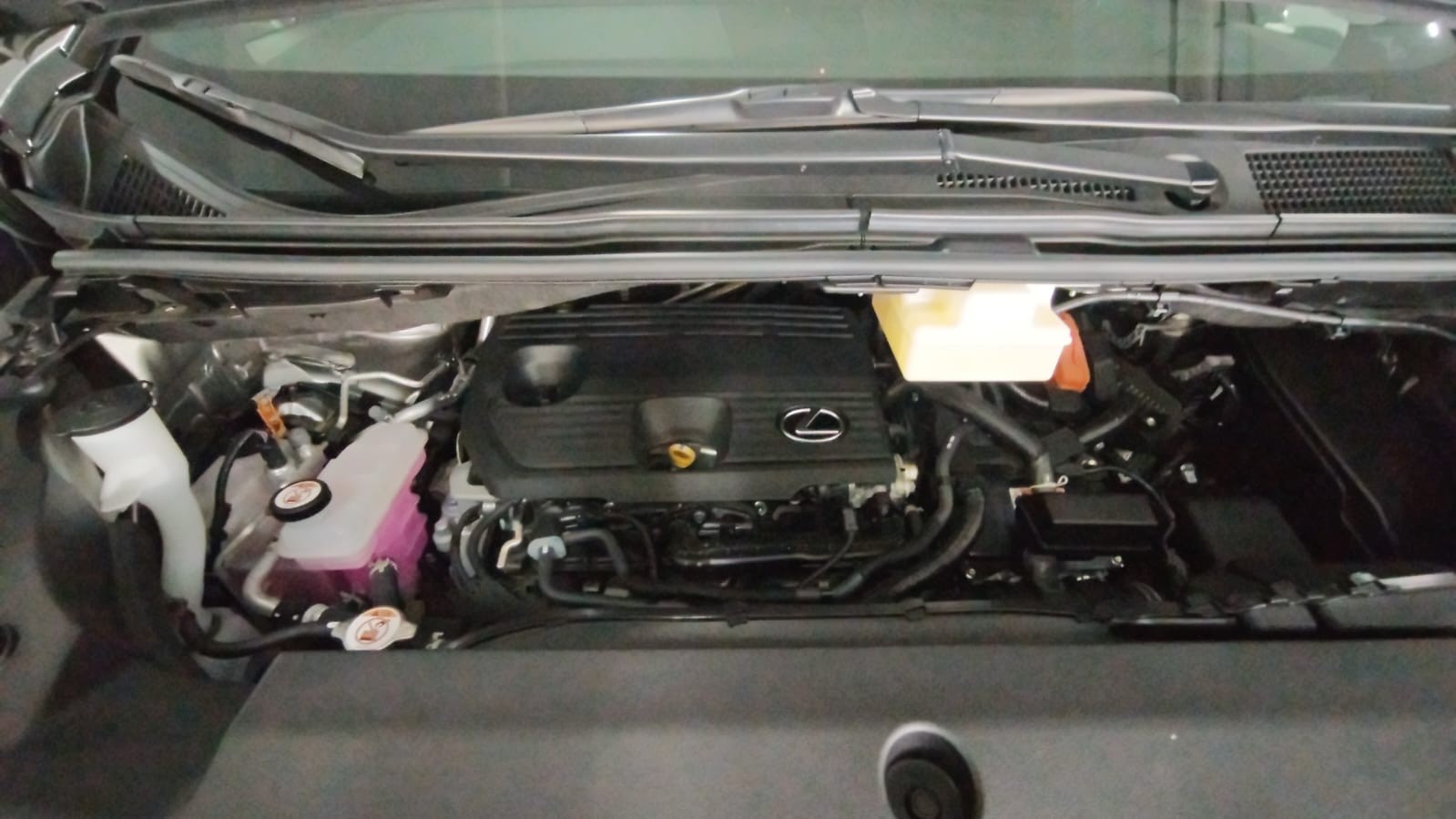 Used 1
                    LEXUS
                     for Sale Image